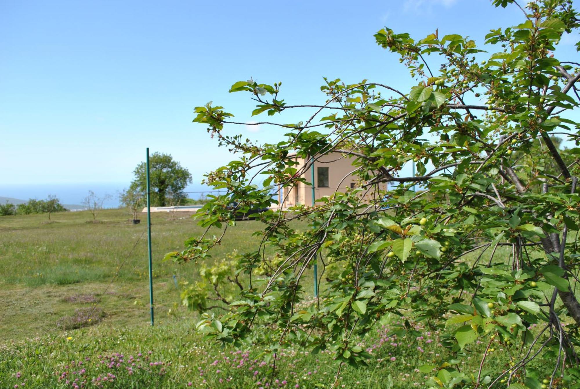 באר Country Home Dolac מראה חיצוני תמונה